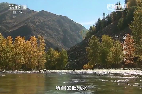 CCTV10央视介绍低氘水